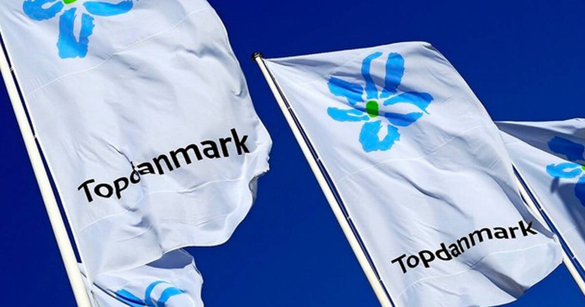 TEMA: Q1-regnskaber, forsikring – Topdanmark løber fra konkurrenter i Q1
